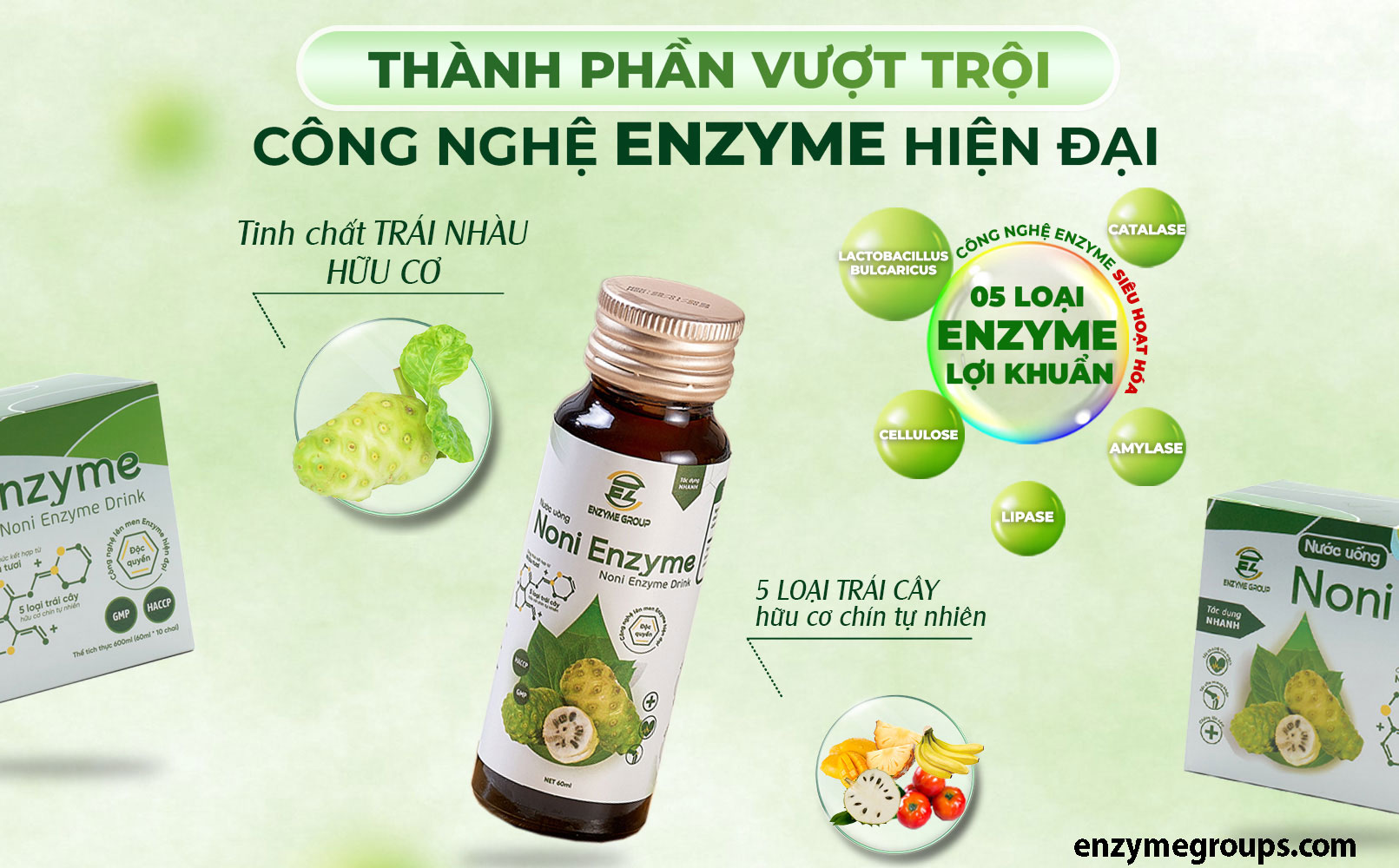 Thành phần Noni Enzyme
