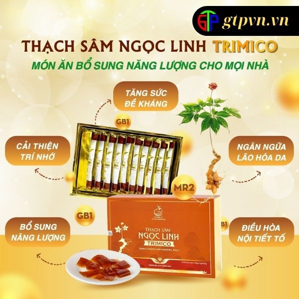 Thạch sâm Ngọc Linh